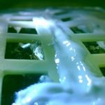 Imagem relacionada a Sementes de algodão crescem na Lua