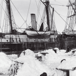 Imagem relacionada a Expedição se prepara para localizar o navio da Shackleton