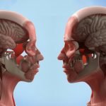 Imagem relacionada a Você sabia que o cérebro humano é capaz de processar informações em apenas 13 milissegundos?