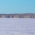 Imagem relacionada a Ilha fantasma finlandesa aparece do nada