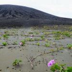 Imagem relacionada a Lama misteriosa aparece em ilha recém-formada
