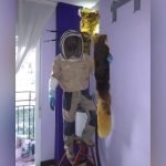 Imagem relacionada a 80.000 abelhas encontradas dentro da parede do quarto do casal