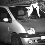 Imagem relacionada a 'Espírito Santo' salva motorista alemão de multa