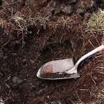 Imagem relacionada a "Tutancâmon" do Reino Unido encontrado atrás do supermercado