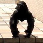 Imagem relacionada a Imagens de estranho 'corvo gorila' surgem na internet