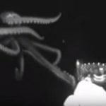 Imagem relacionada a Lula gigante filmada no Golfo do México