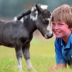 Imagem relacionada a Animais diminuirão no futuro