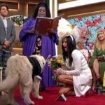 Imagem relacionada a Mulher casa com seu cachorro em televisão ao vivo