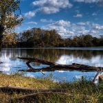 Imagem relacionada a A ameba comedora de cérebro é um assassino indescritível