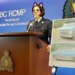 Imagem relacionada a Filtro de gato ataca novamente durante conferência de imprensa