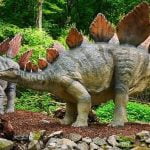 Imagem relacionada a Novas espécies de estegossauro encontradas em Marrocos