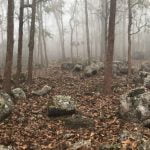 Imagem relacionada a Restos de bebês são encontrados na planície de jarros do Laos