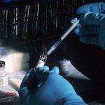 Imagem relacionada a Explosão ocorre em laboratório russo de varíola