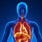 Imagem relacionada a 42 novos 'produtos químicos misteriosos' encontrados em humanos