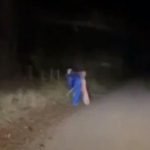 Imagem relacionada a Adolescente encontra palhaço assustador com uma pá