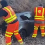 Imagem relacionada a Algas engolem carros em Washington