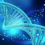 Imagem relacionada a Pentágono adverte militares a não usar kits de teste de DNA