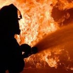 Imagem relacionada a Cão liga o microondas e põe fogo em casa