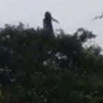 Imagem relacionada a 'La Llorona' capturado em vídieo na Colômbia?