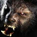 Imagem relacionada a Raiva pode ter inspirado histórias de lobisomens