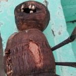 Imagem relacionada a Homem descobre 'boneca de vodu' com dentes humanos