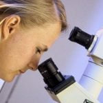 Imagem relacionada a Cientistas descobrem animal que não respira