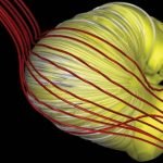 Imagem relacionada a Estamos vivendo em um croissant gigante desinflado?