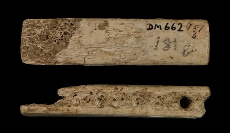 Imagem relacionada a Britânicos da Idade do Bronze transformaram ossos em instrumentos