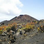 Imagem relacionada a Vulcão Cumbre Vieja: tsunami poderia atingir o Brasil