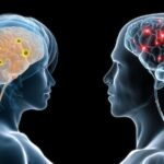 Imagem relacionada a Existe algo como cérebro masculino e feminino?