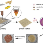 Imagem relacionada a Resíduos agrícolas usados para imprimir carne