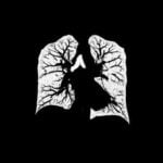 Imagem relacionada a Músico usa suas tomografias computadorizadas para criar clipe