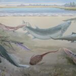 Imagem relacionada a Este peixe gigante atacava os nossos antepassados humanos na África do Sul