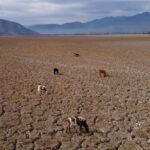 Imagem relacionada a Rara 'triple dip' La Niña é em grande parte responsável pela seca na América do Sul