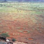 Imagem relacionada a Pavimentos de térmitas explicam o mistério dos 'círculos de fadas' na Austrália