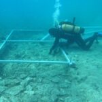 Imagem relacionada a Descoberta antiga estrada neolítica na costa da ilha croata de Korcula