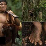 Imagem relacionada a A tribo Huaorani: adaptações físicas e culturais na Amazônia
