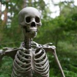 selective focus photography of skeleton