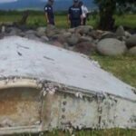 Imagem relacionada a A esperança renovada de encontrar o voo MH370: cientista analisa crustáceos presos aos destroços