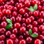 Imagem relacionada a Comer Cranberry é saudável? Descubra os Benefícios dessa Fruta Deliciosa!