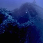 Imagem relacionada a Avião do Tenente Warren Singer, desaparecido durante a Segunda Guerra Mundial, é encontrado após 80 anos