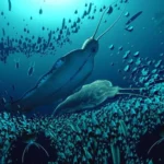 Imagem relacionada a Vermes gigantes dominaram os mares há mais de 500 milhões de anos