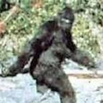 Imagem relacionada a Como capturar o Pé Grande? A sugestão inusitada da IA do Google