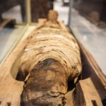 ancient egyptian mummy in museum exhibit