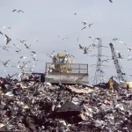 Imagem relacionada a Homem quer comprar lixão para encontrar hard drive com bitcoins que valem US$ 1 bilhão