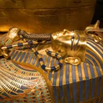 Imagem relacionada a Do fungo mortal da tumba de Tutancâmon pode nascer um novo tratamento contra o câncer?