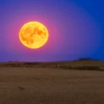 lua de sangue da colheita 1