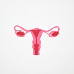 graphic art of a woman s ovary