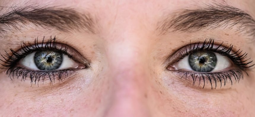 close up shot of a face